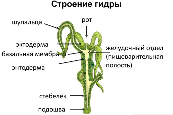 Правильная ссылка онион кракен