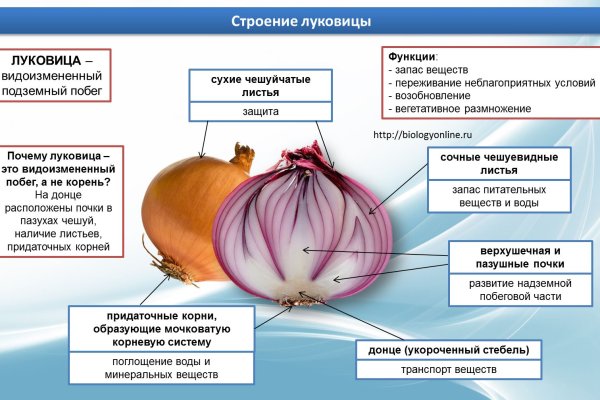 Кракен современный даркнет маркет плейс